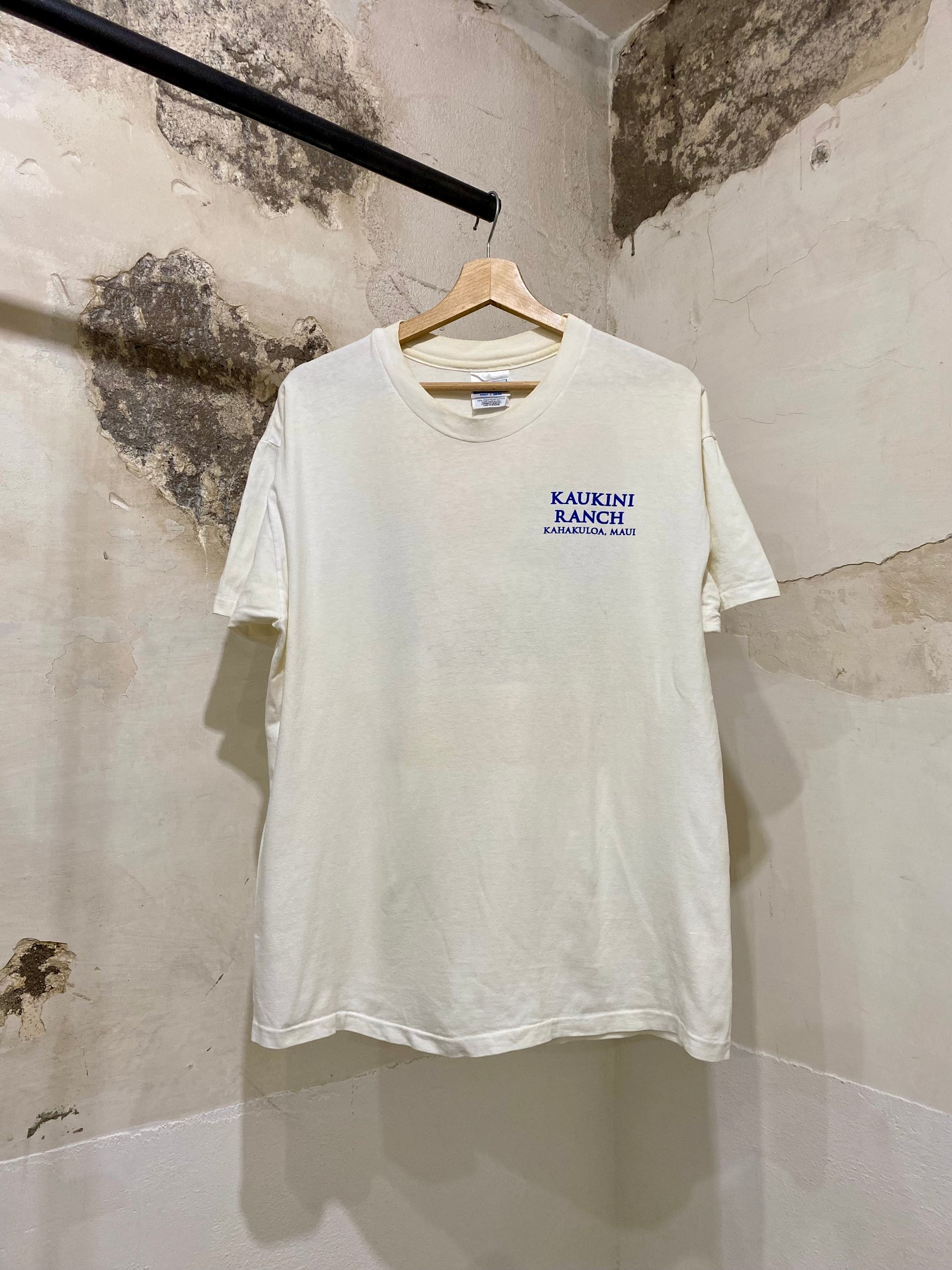 Vintage distressed t-shirt